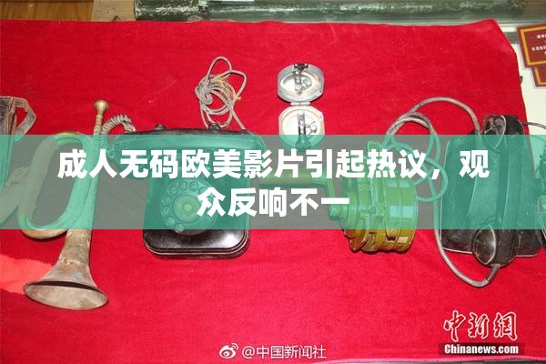 成人无码欧美影片引起热议，观众反响不一