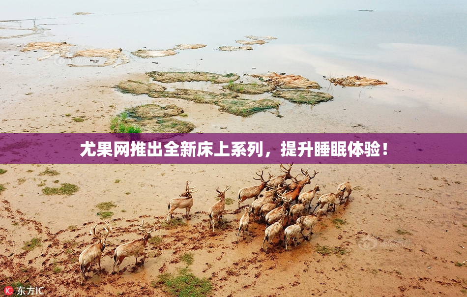 尤果网推出全新床上系列，提升睡眠体验！