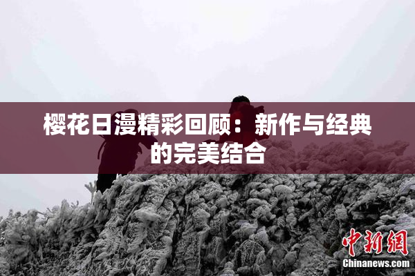 樱花日漫精彩回顾：新作与经典的完美结合
