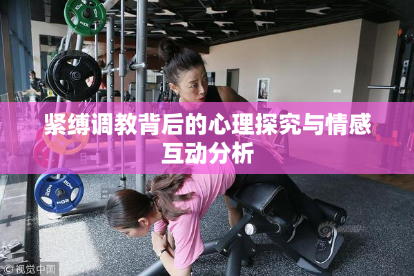紧缚调教背后的心理探究与情感互动分析