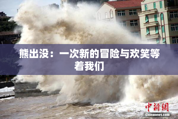 熊出没：一次新的冒险与欢笑等着我们