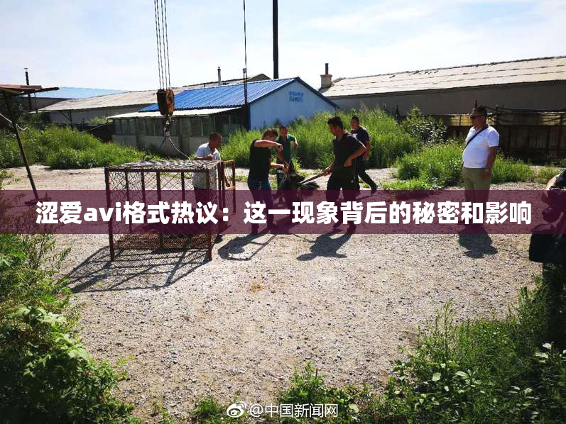涩爱avi格式热议：这一现象背后的秘密和影响