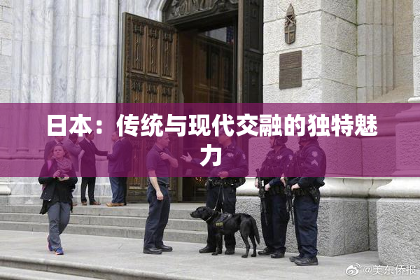 日本：传统与现代交融的独特魅力