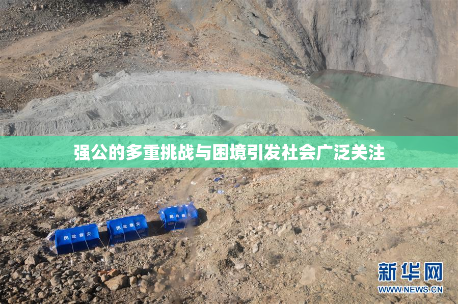 强公的多重挑战与困境引发社会广泛关注