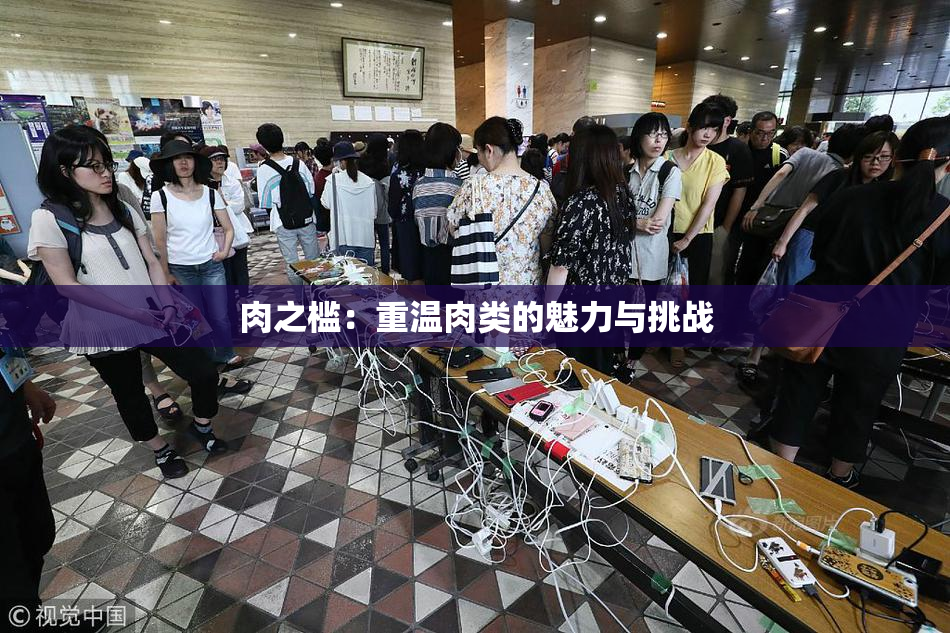 肉之槛：重温肉类的魅力与挑战
