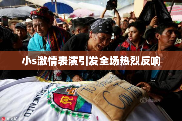 小s激情表演引发全场热烈反响