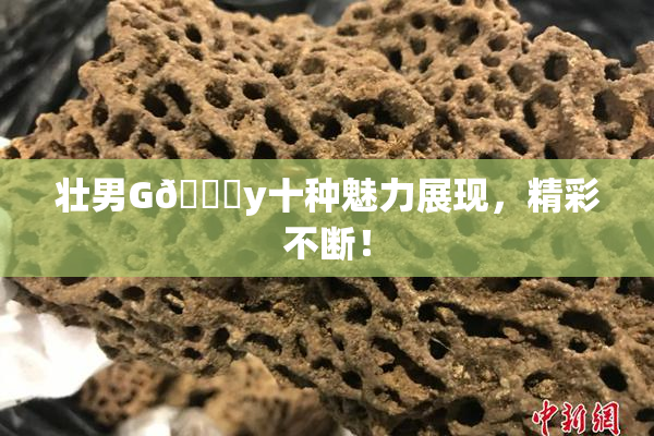 壮男G🈚y十种魅力展现，精彩不断！
