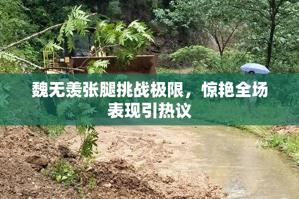 魏无羡张腿挑战极限，惊艳全场表现引热议