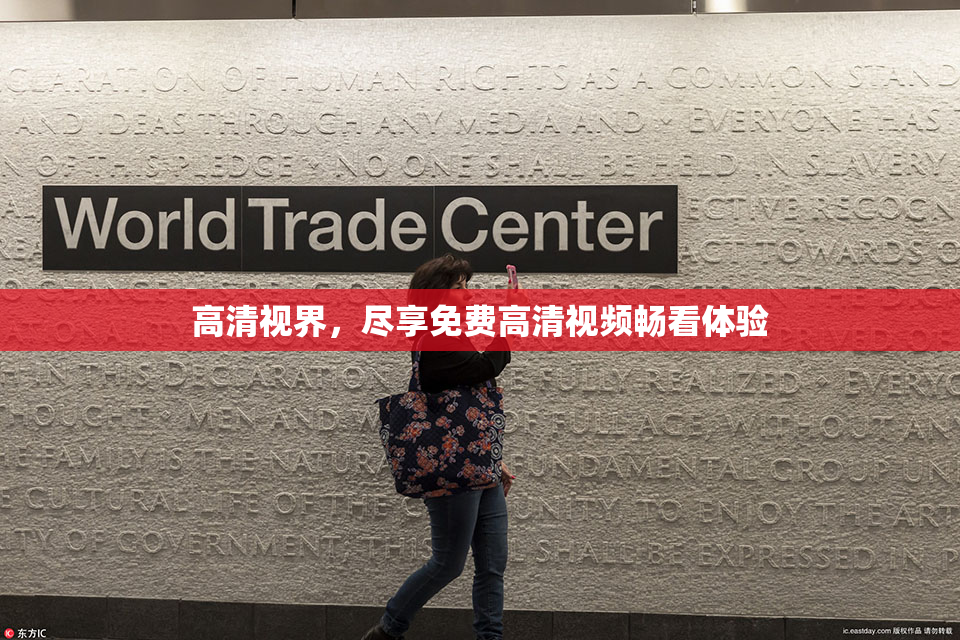 高清视界，尽享免费高清视频畅看体验