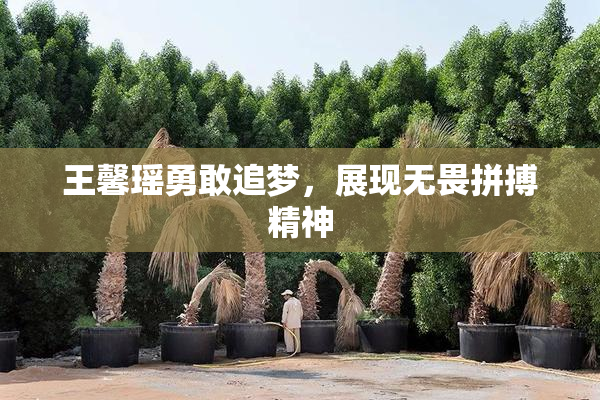 王馨瑶勇敢追梦，展现无畏拼搏精神