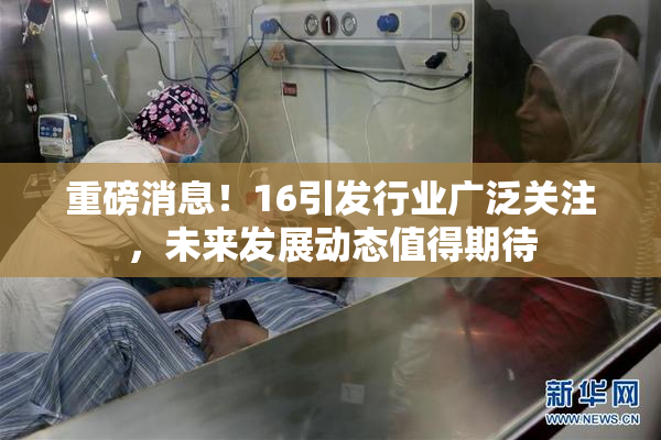 重磅消息！16引发行业广泛关注，未来发展动态值得期待