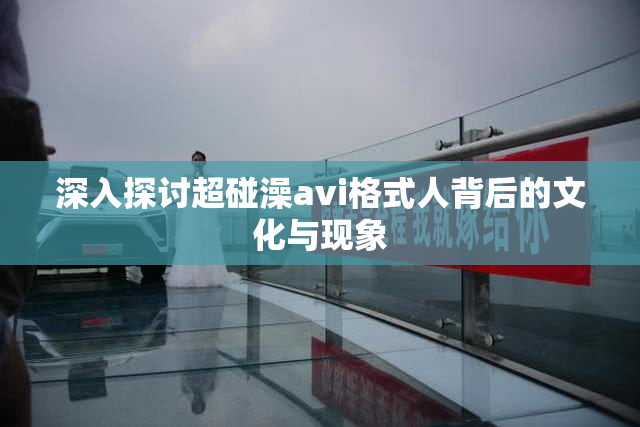 深入探讨超碰澡avi格式人背后的文化与现象