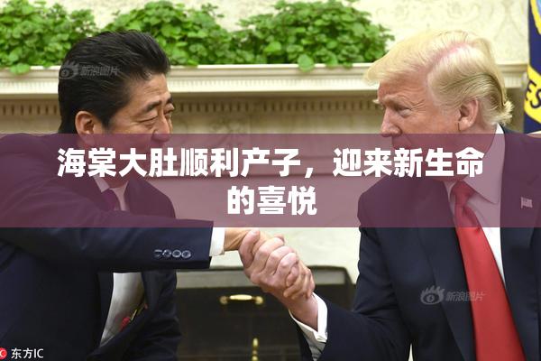 海棠大肚顺利产子，迎来新生命的喜悦