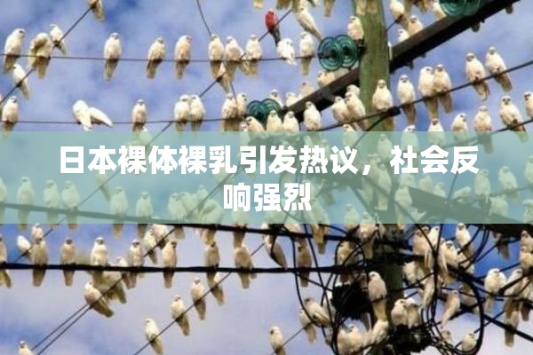 日本裸体裸乳引发热议，社会反响强烈