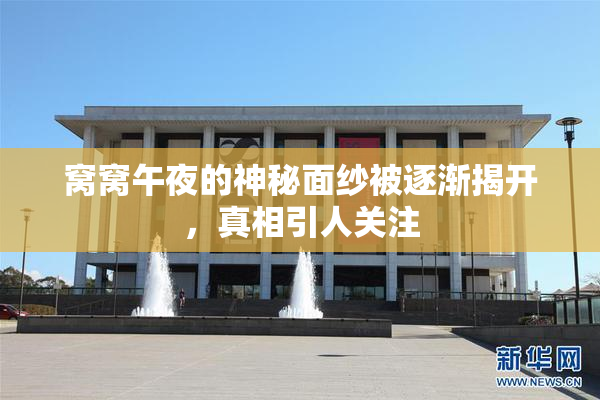 窝窝午夜的神秘面纱被逐渐揭开，真相引人关注