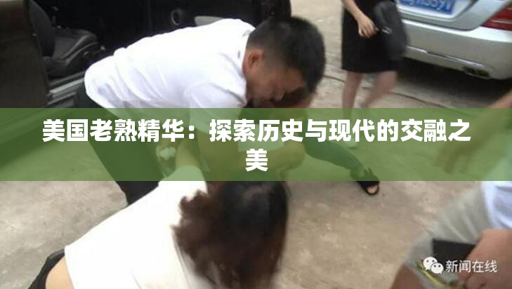 美国老熟精华：探索历史与现代的交融之美
