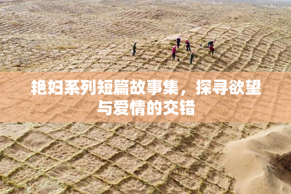艳妇系列短篇故事集，探寻欲望与爱情的交错