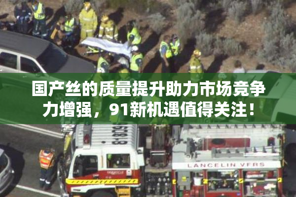 国产丝的质量提升助力市场竞争力增强，91新机遇值得关注！