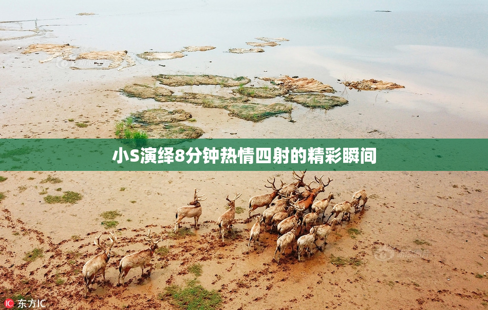 小S演绎8分钟热情四射的精彩瞬间