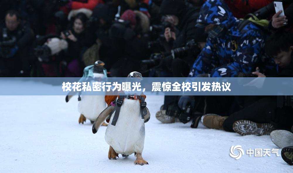 校花私密行为曝光，震惊全校引发热议