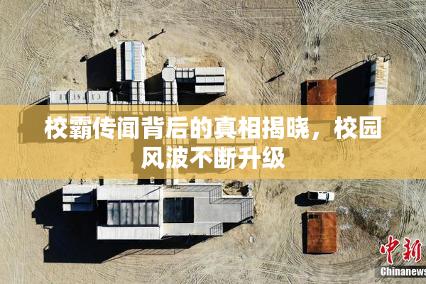 校霸传闻背后的真相揭晓，校园风波不断升级