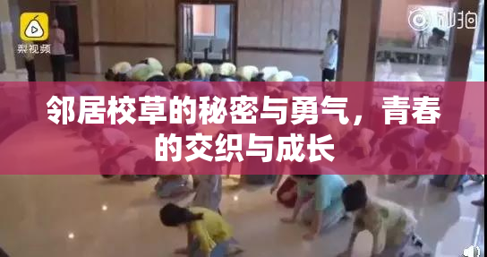 邻居校草的秘密与勇气，青春的交织与成长