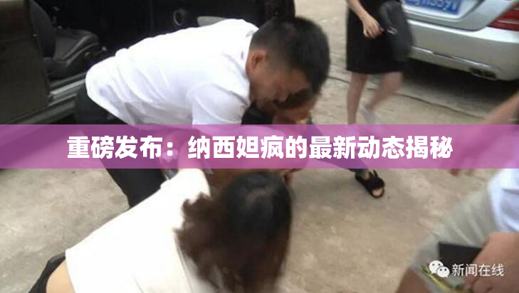 重磅发布：纳西妲疯的最新动态揭秘