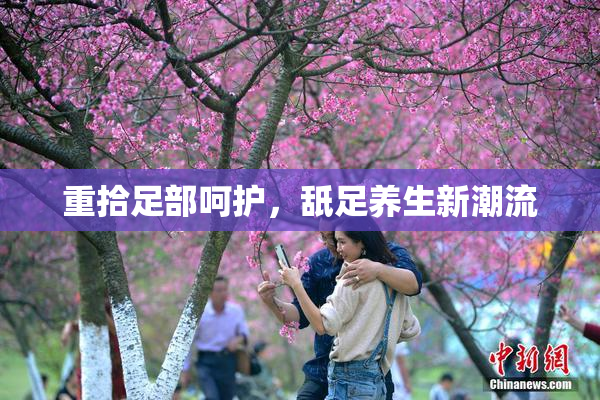 重拾足部呵护，舐足养生新潮流