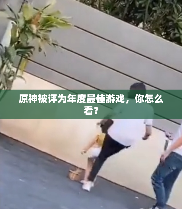 原神被评为年度最佳游戏，你怎么看？