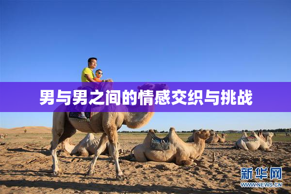 男与男之间的情感交织与挑战