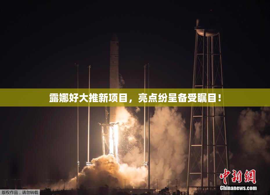 露娜好大推新项目，亮点纷呈备受瞩目！