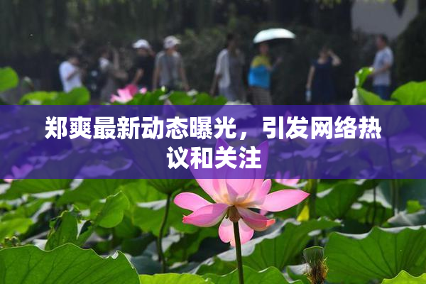 郑爽最新动态曝光，引发网络热议和关注