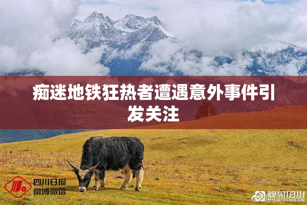 痴迷地铁狂热者遭遇意外事件引发关注