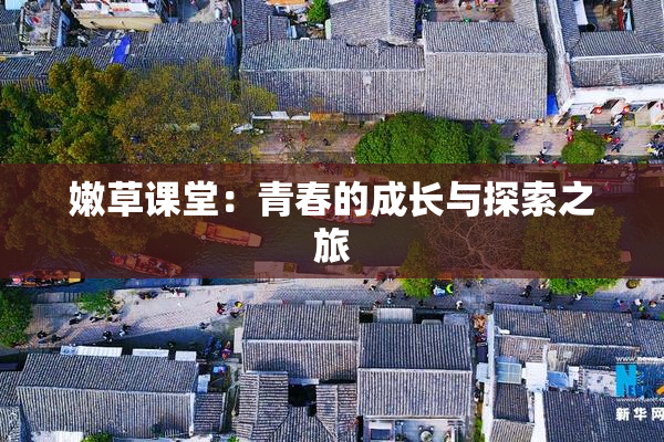 嫩草课堂：青春的成长与探索之旅