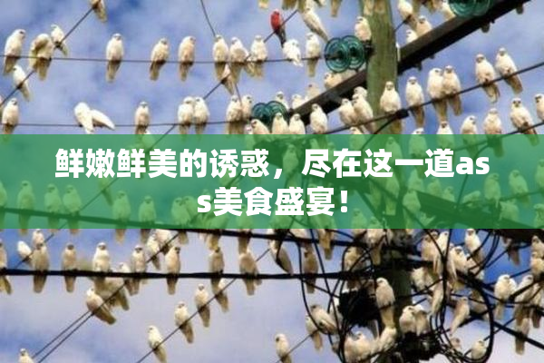 鲜嫩鲜美的诱惑，尽在这一道ass美食盛宴！