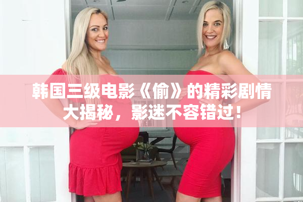 韩国三级电影《偷》的精彩剧情大揭秘，影迷不容错过！