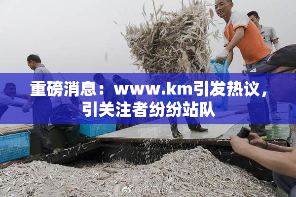 重磅消息：www.km引发热议，引关注者纷纷站队