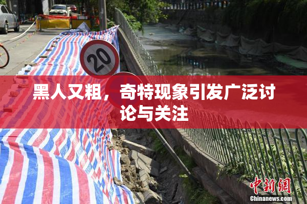 黑人又粗，奇特现象引发广泛讨论与关注