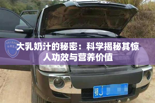 大乳奶汁的秘密：科学揭秘其惊人功效与营养价值