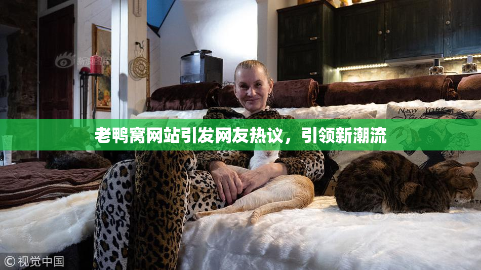 老鸭窝网站引发网友热议，引领新潮流