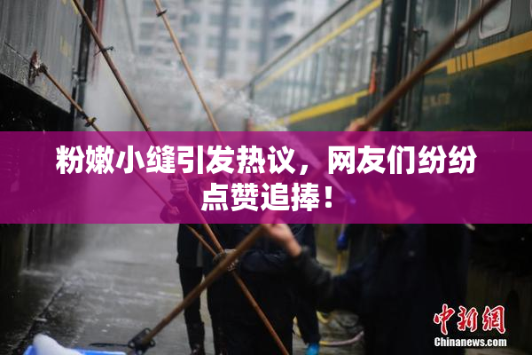 粉嫩小缝引发热议，网友们纷纷点赞追捧！