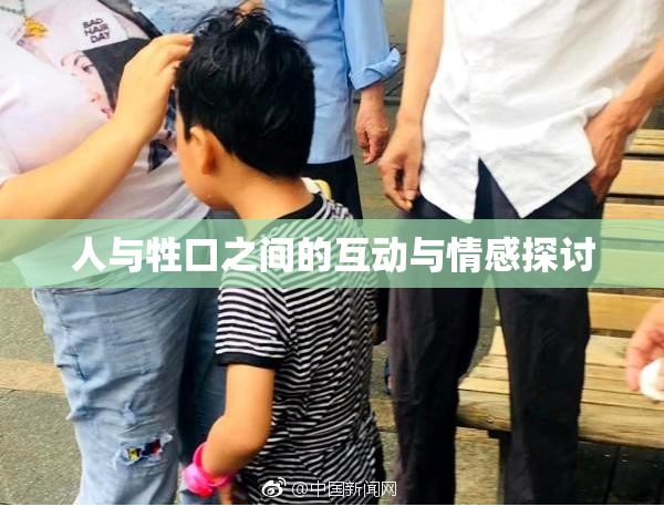 人与牲口之间的互动与情感探讨