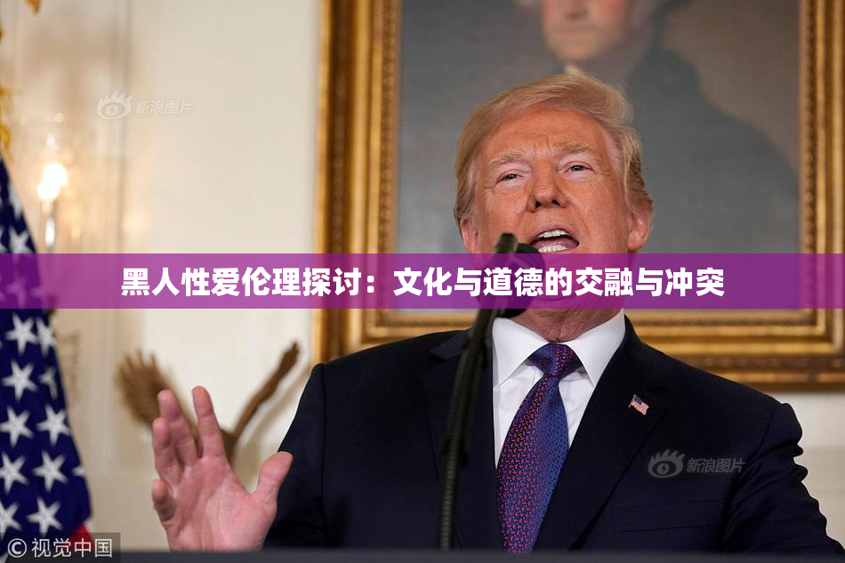 黑人性爱伦理探讨：文化与道德的交融与冲突