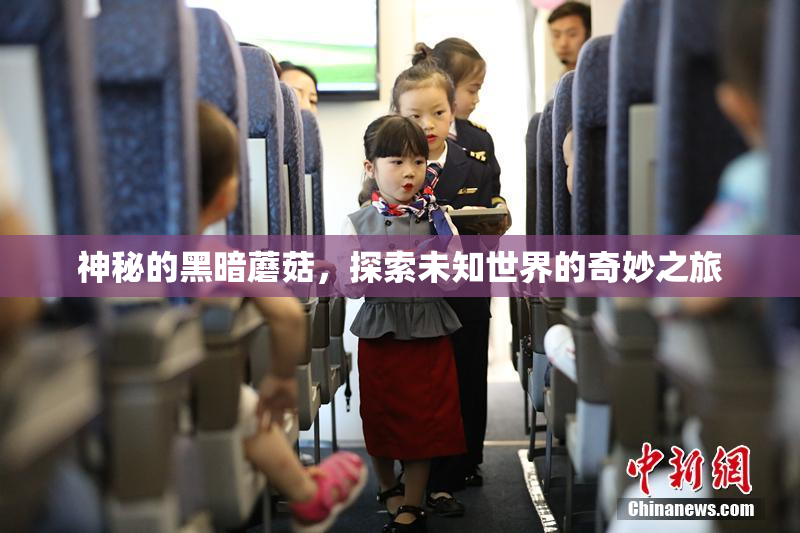 神秘的黑暗蘑菇，探索未知世界的奇妙之旅