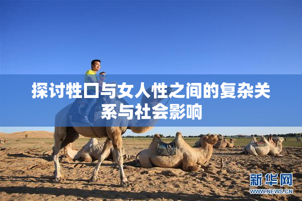 探讨牲囗与女人性之间的复杂关系与社会影响