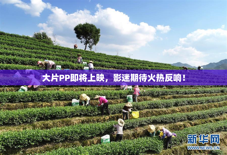 大片PP即将上映，影迷期待火热反响！