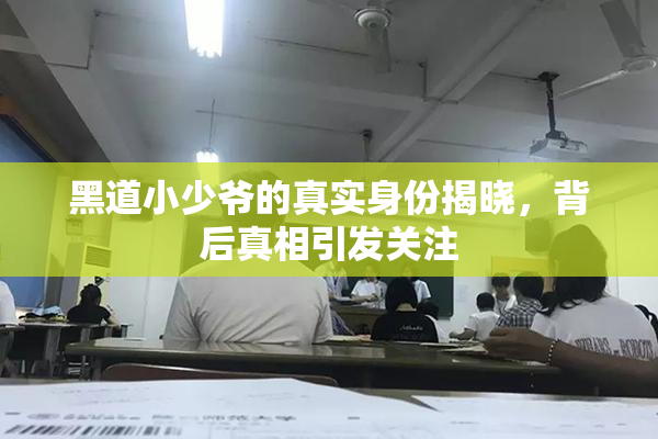 黑道小少爷的真实身份揭晓，背后真相引发关注