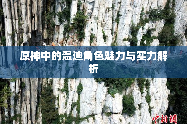 原神中的温迪角色魅力与实力解析
