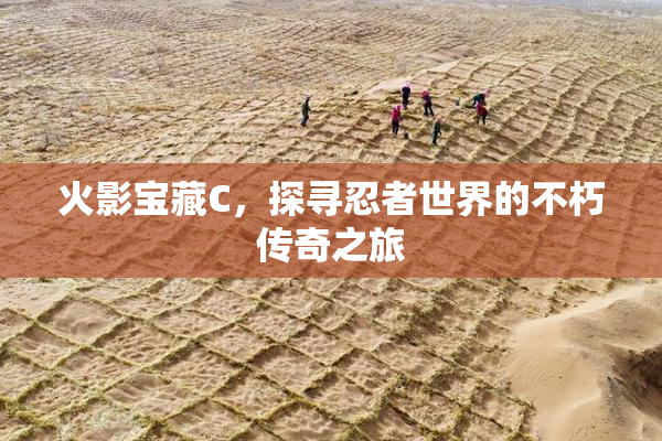 火影宝藏C，探寻忍者世界的不朽传奇之旅