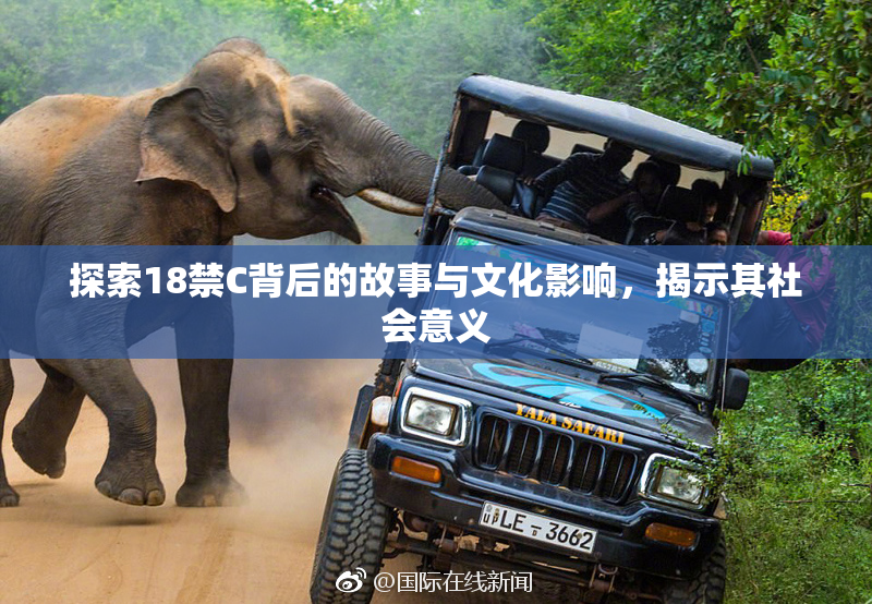 探索18禁C背后的故事与文化影响，揭示其社会意义